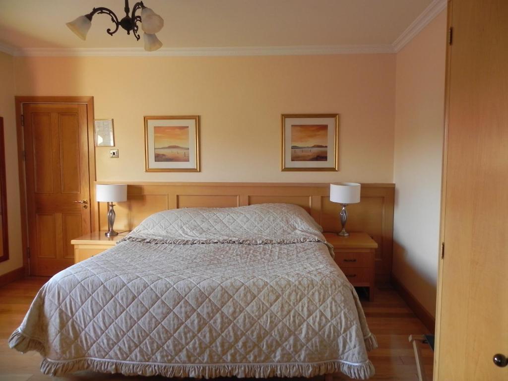 Shelmalier House Hotell Athlone Rom bilde